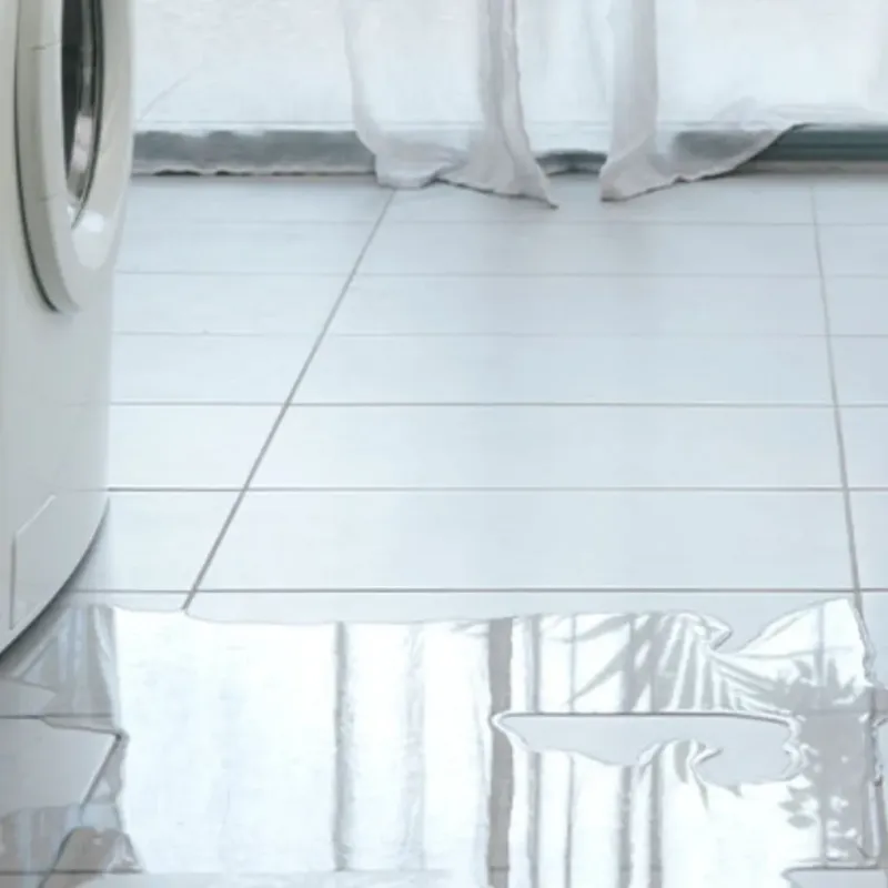 Appliance Leak Cleanup in Upland, IN