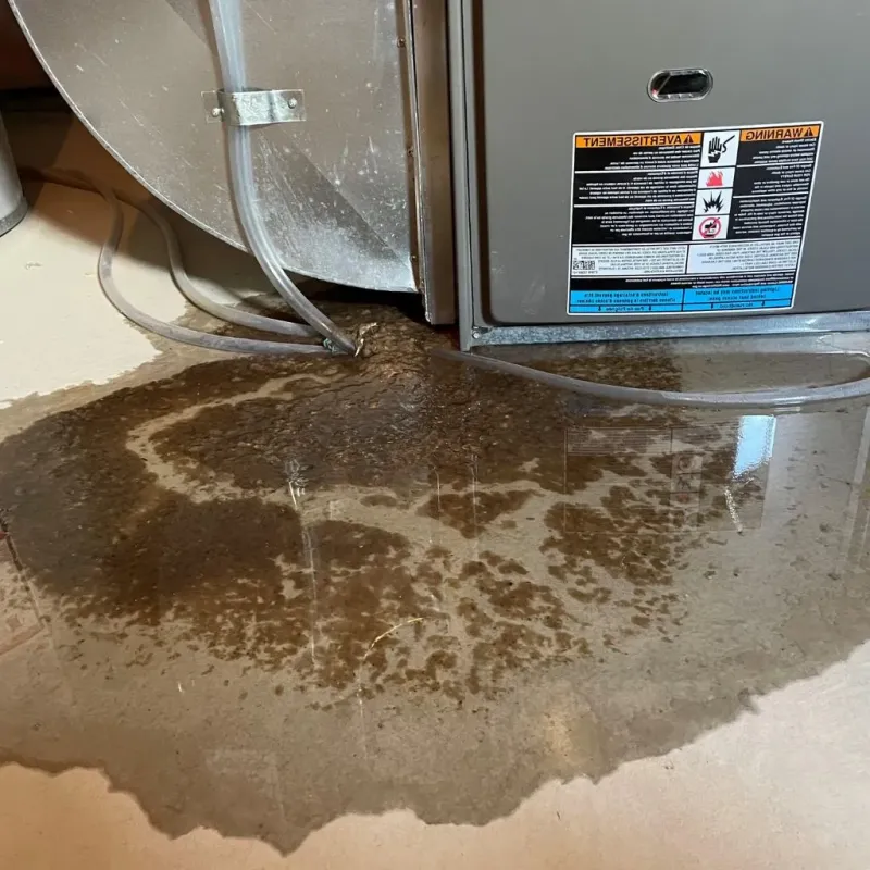 Pipe Burst and Leak Restoration in Upland, IN