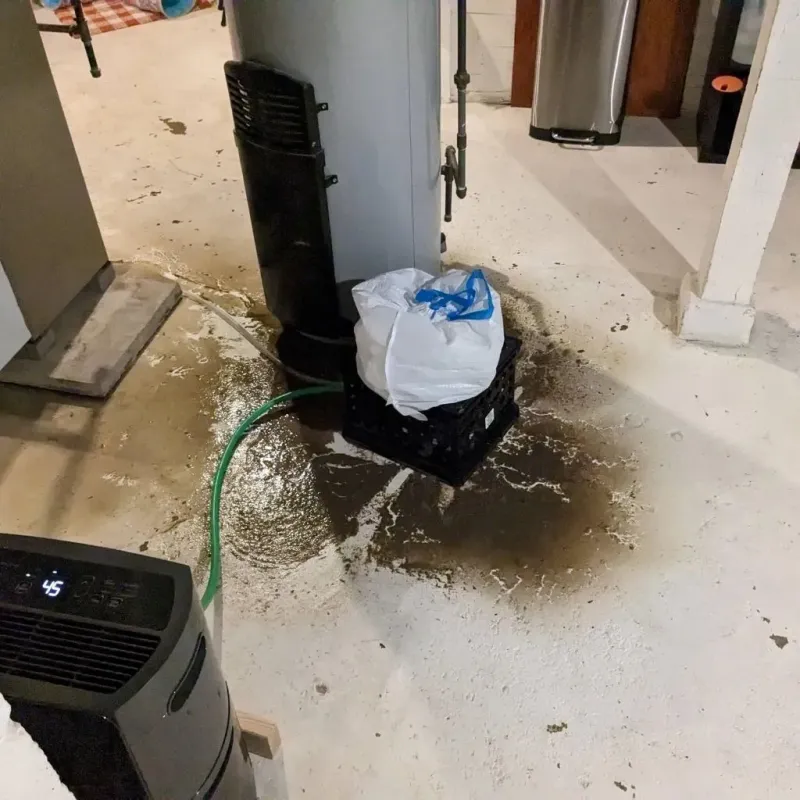 Sewage Backup Cleanup Service in Upland, IN